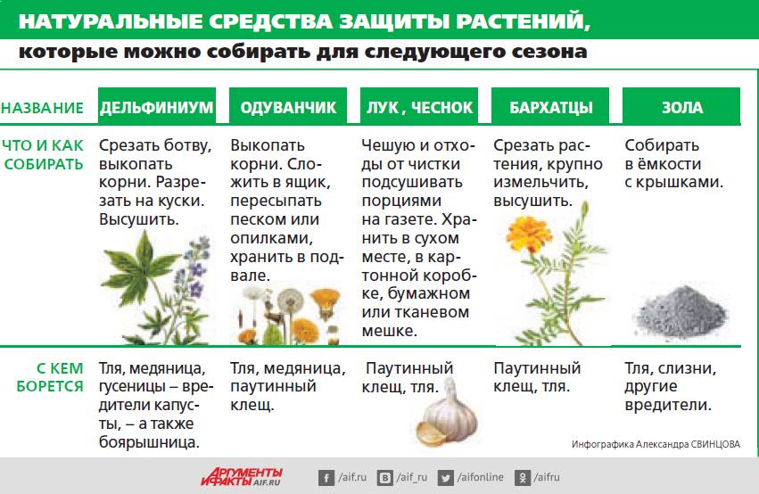 Биопрепараты для борьбы с вредителями и болезнями растений — floraprice.ru