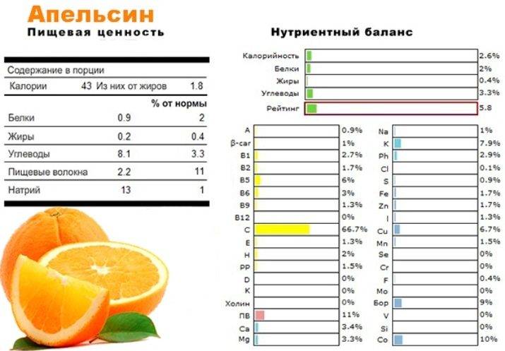 Калорийность апельсина, бжу на 100 грамм, польза и вред для здоровья