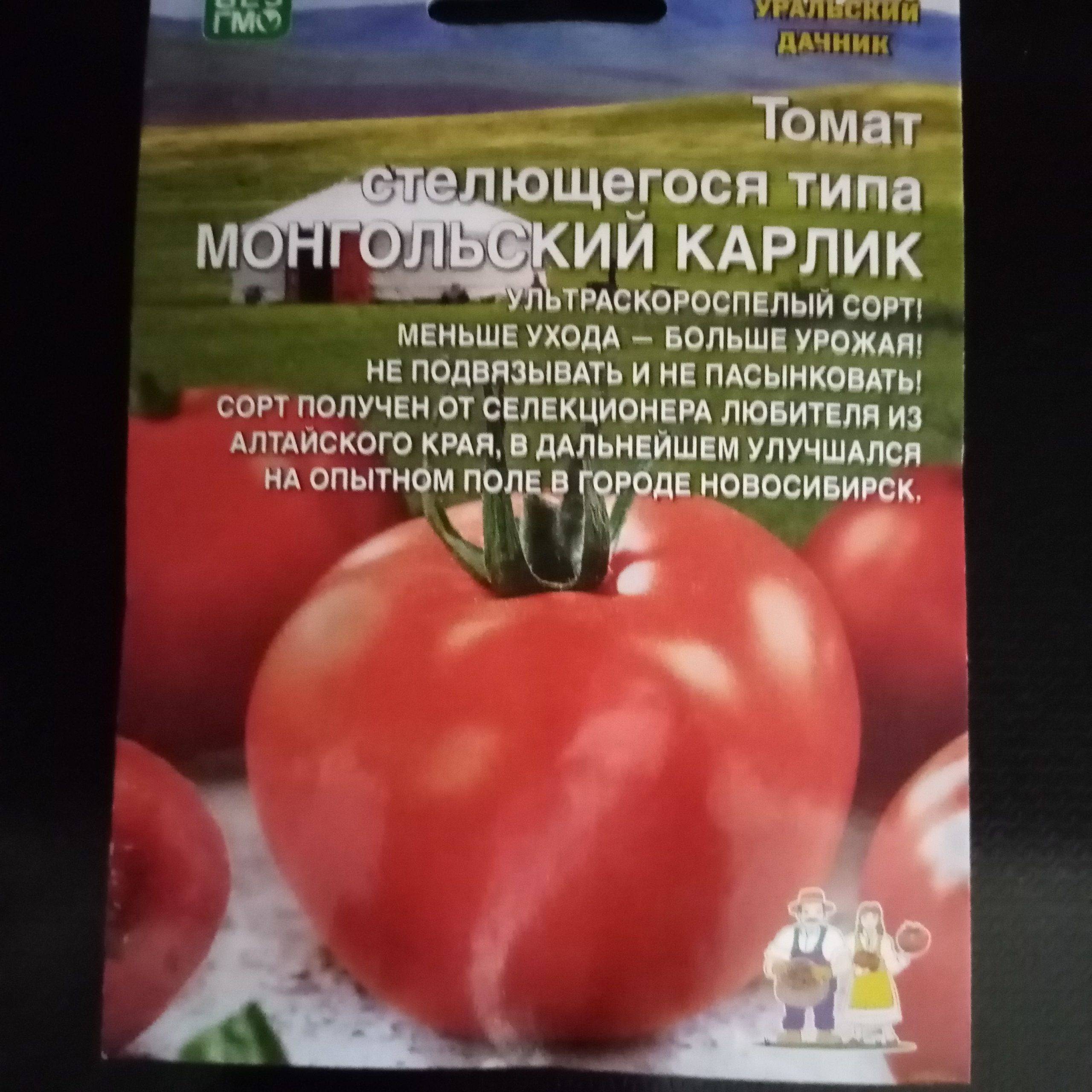 Томаты монгольский карлик схема посадки