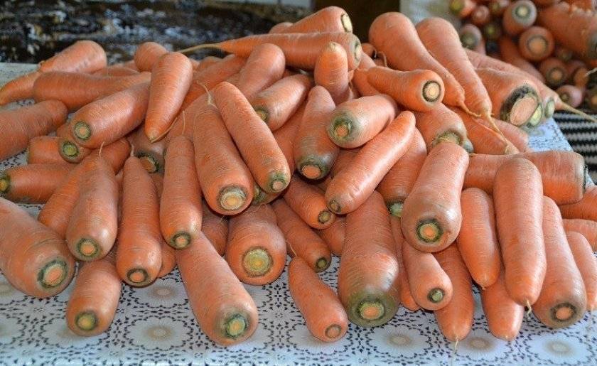 Чем характеризуется лосиноостровская морковь?
