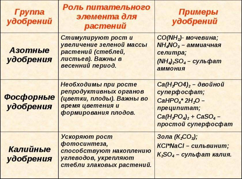 Фосфорные удобрения: названия, рекомендуемые дозировки