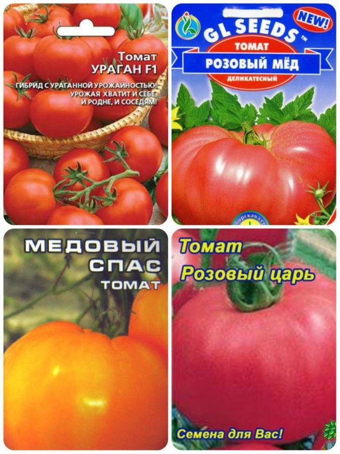 Сорта томатов для теплиц