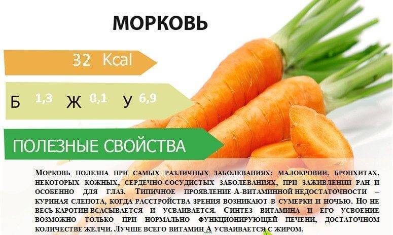 Морковь польза и вред для организма человека