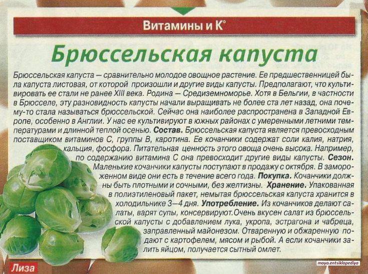 Капуста брюссельская
