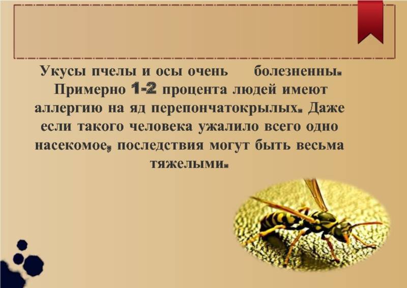 Чем полезен пчелиный укус для мужчин
