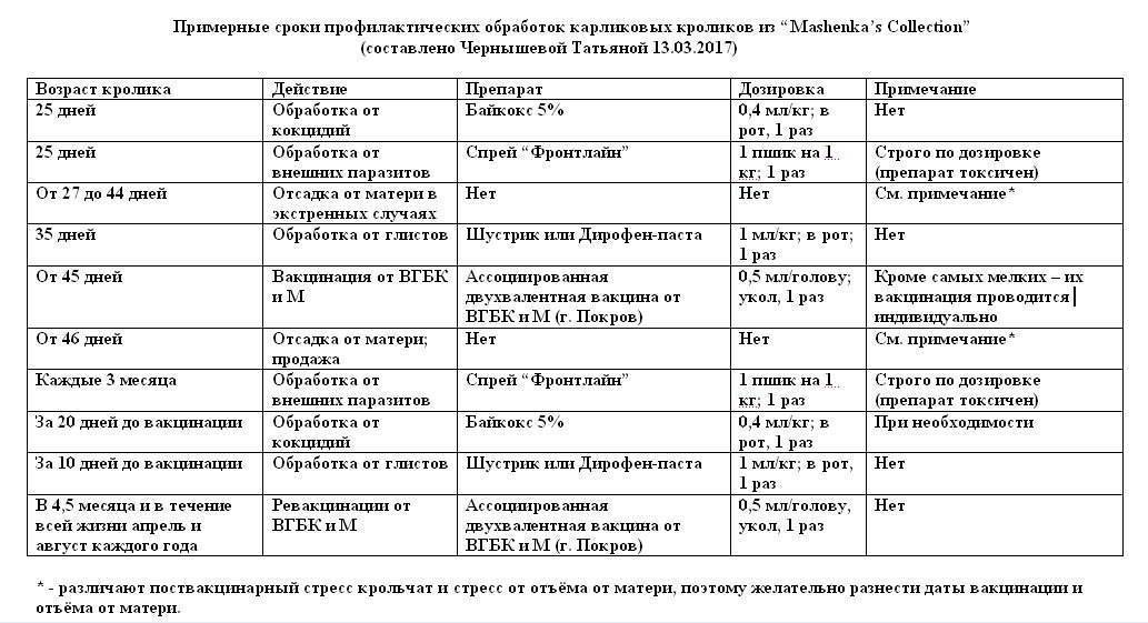 Первичная вакцинация кошек, собак и хорьков