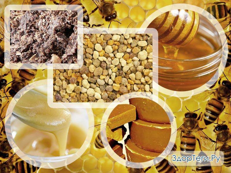 Продукты пчеловодства и их применение и употребление