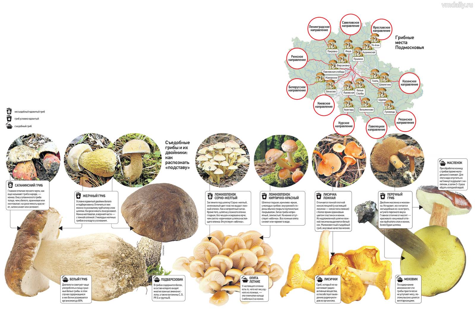 Карта грибов в Подмосковье