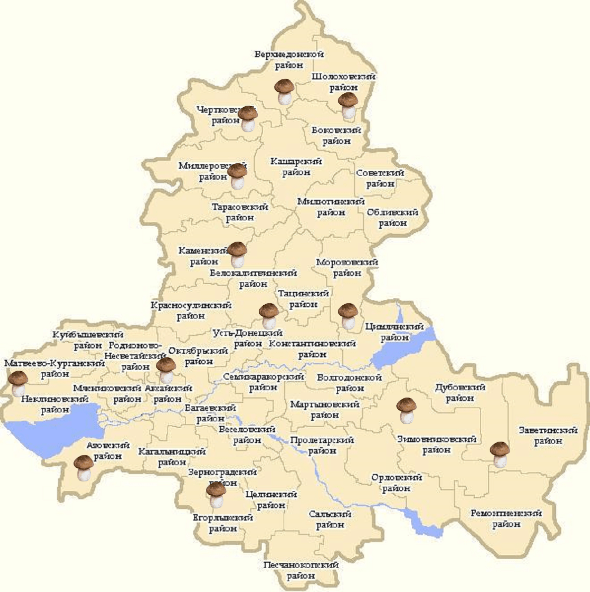 7 самых грибных мест свердловской области: как добраться, фото и полезные советы