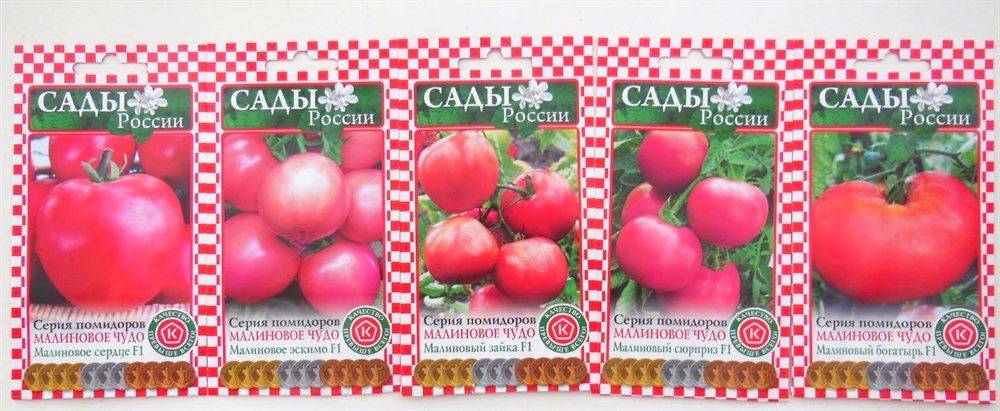 Томаты из серии малиновое чудо от фирмы "сады россии"-кто сажал, ваши отзывы.: группа наши грядки