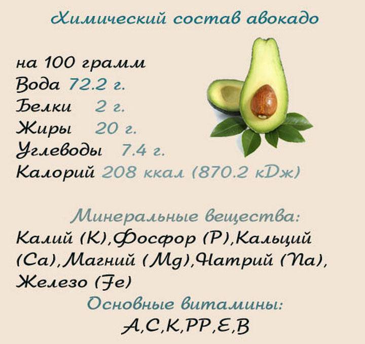 Польза авокадо для организма мужчин и женщин - wg-up