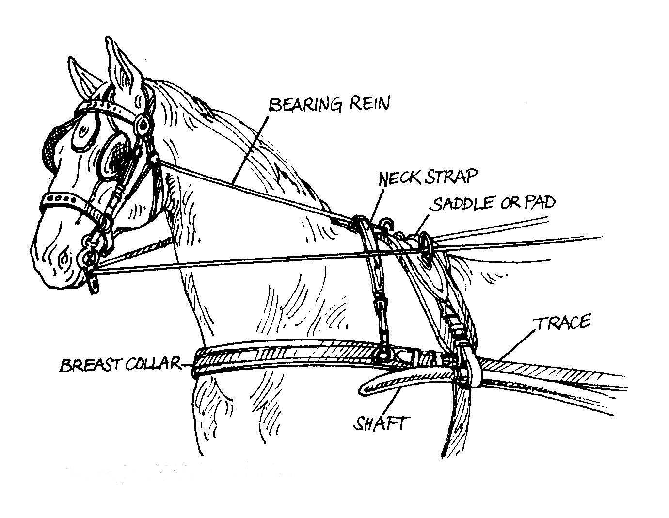 Упряжь для лошади схема