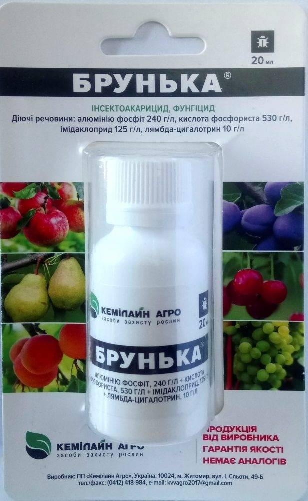 Фунгицид брунька: состав и инструкция по применению, дозировка и аналоги