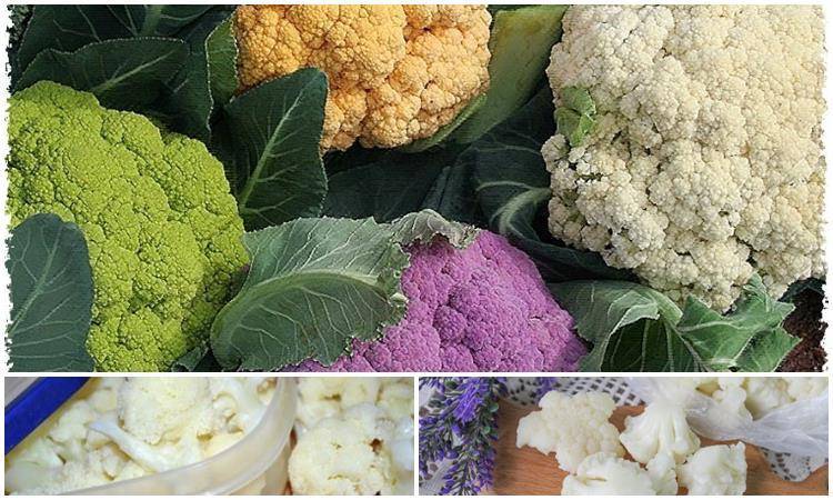Как хранить цветную капусту: сколько хранится в холодильнике в домашних условиях и погребе