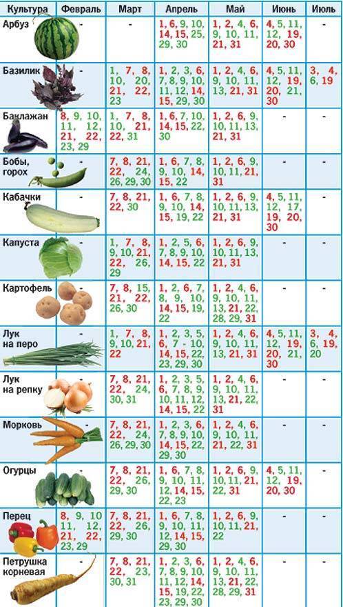 Перечень овощных культур от а до я