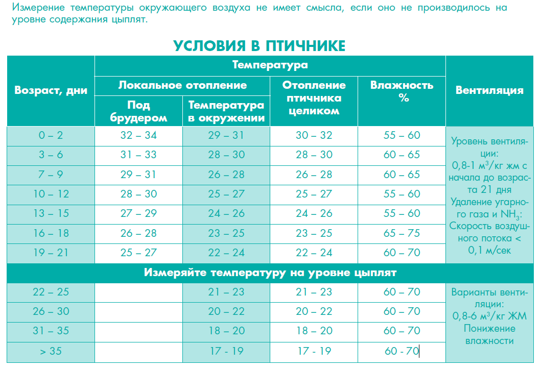 Температура для бройлеров: таблица оптимальных показателей для содержания