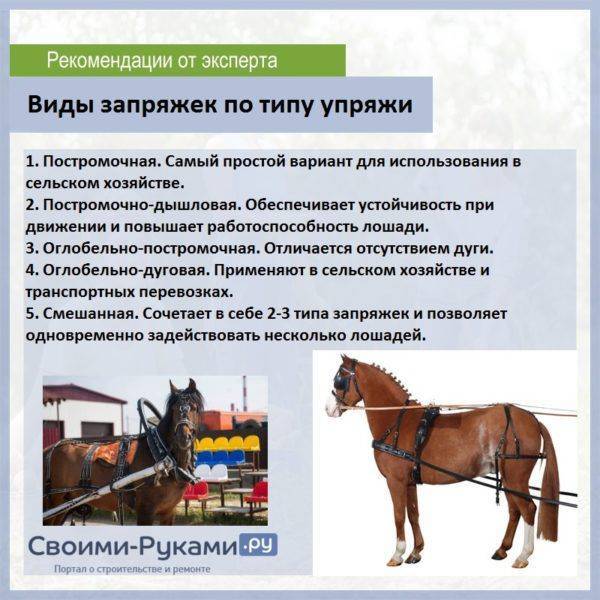 Упряжь конская, детали и элементы украшения, виды старинной верховой сбруи для лошади, быка и собаки, русская дуговая