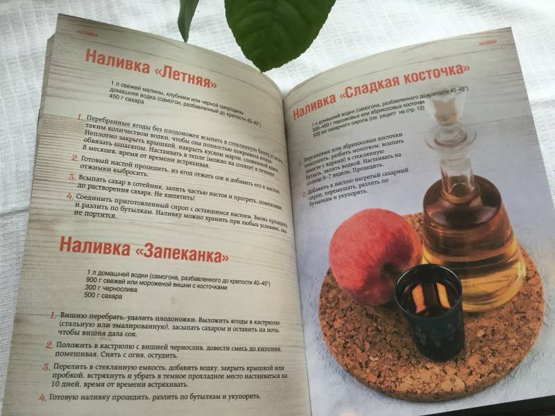 Настойка из сливы на водке, самогоне, спирте – 17 пошаговых рецептов с приготовлением