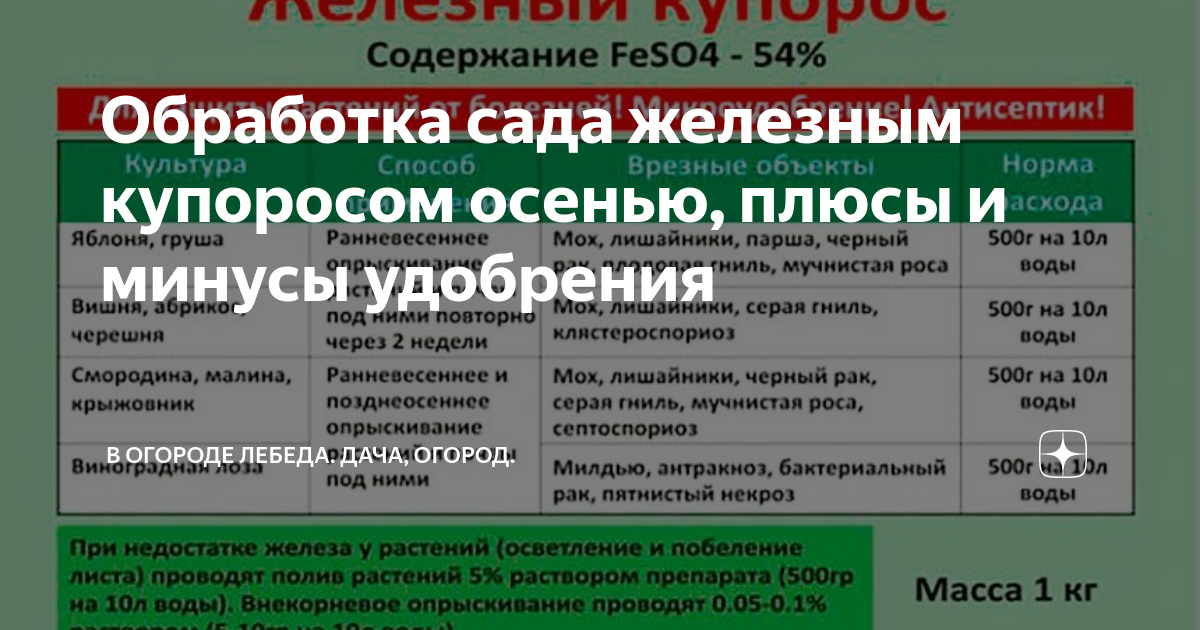 Обработка сада мочевиной и железным. Железный купорос для обработки сада. Обработка деревьев осенью железным купоросом. Железный купорос для обработки деревьев. Обработка железным купоросо.