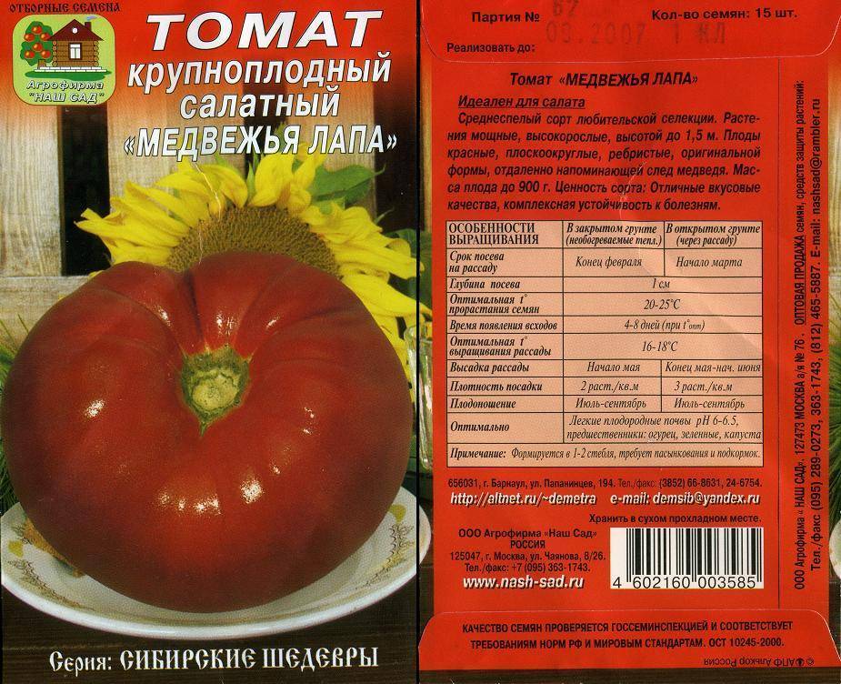 "медвежья лапа" сорт помидор от сибирского сада.: группа земляки!