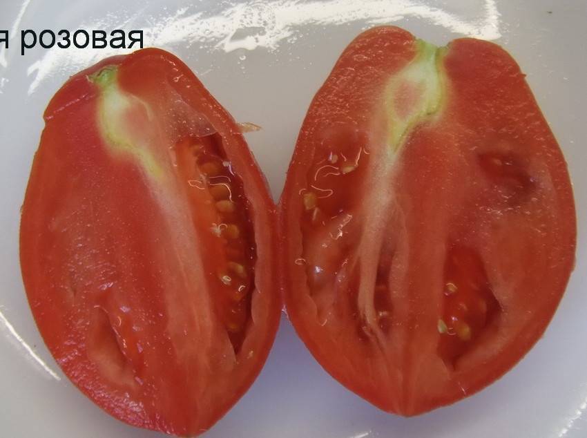 Среднеспелый сорт с приятным вкусом и мощными кустами — томат «капия розовая»