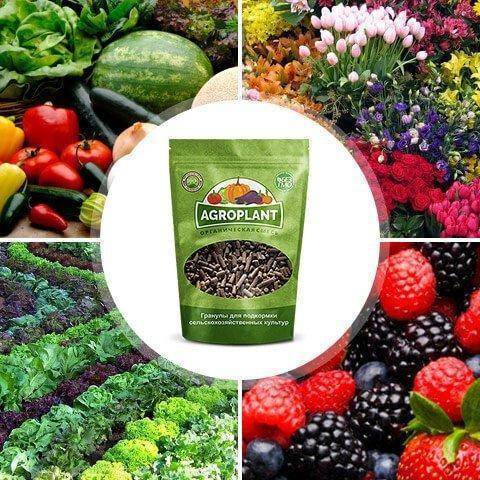 Biogrow: состав и инструкция по применению удобрения, дозировка и аналоги