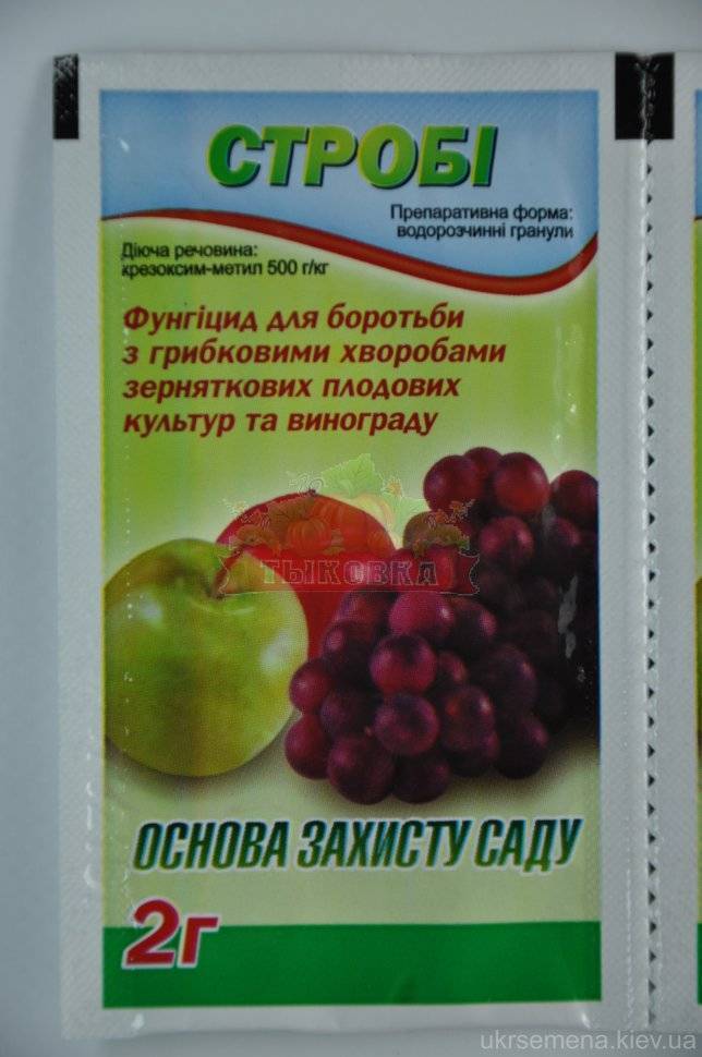 Состав и инструкция по применению фунгицида строби, дозировка и аналоги