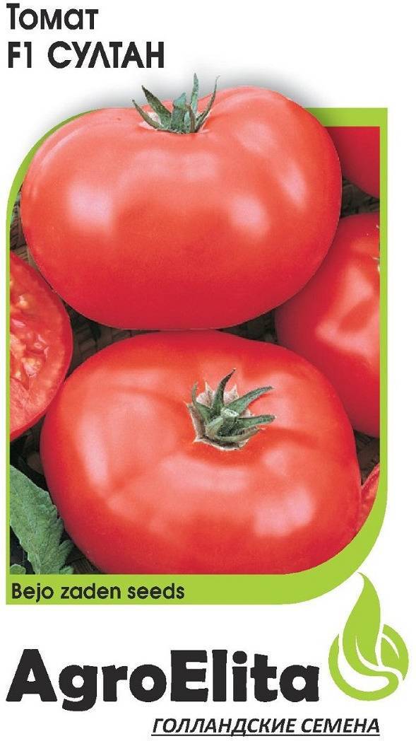 Как посадить и вырастить томат султан