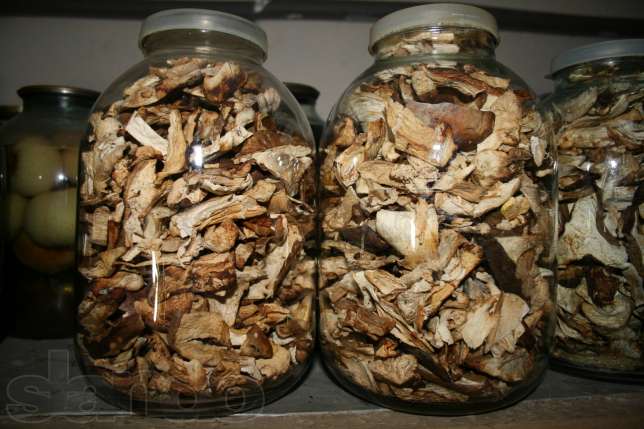 Сколько можно хранить сухие грибы в квартире