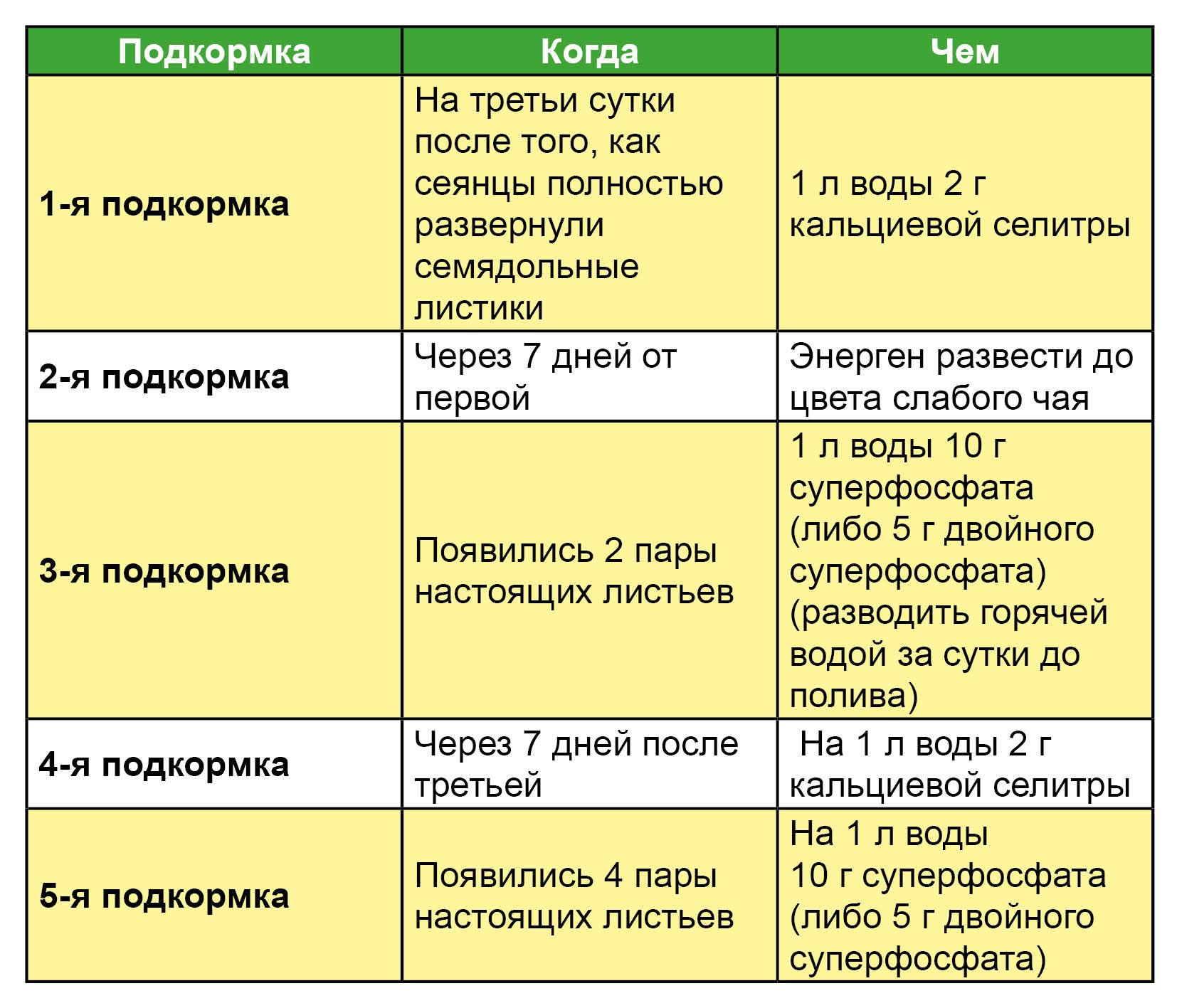 Правильная подкормка — «вкусный» результат: подбираем органические и минеральные удобрения для тепличных огурцов — фазенда