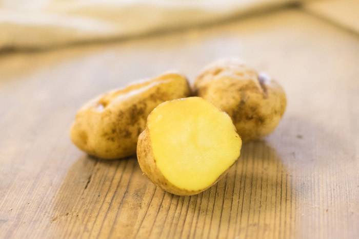 Картофель гранада характеристика сорта