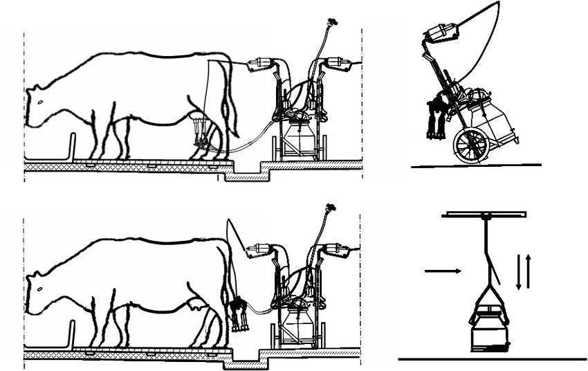 Доильный станок для коз своими руками чертежи и размеры