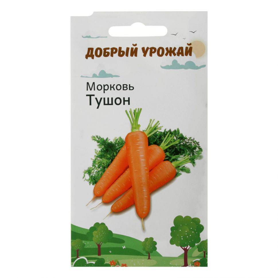 Морковь – 75 сортов 2023: описание с фото | огородникам инфо