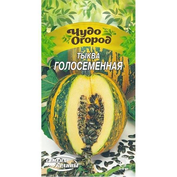 Характеристики и описание сортов голосемянной тыквы, выращивание