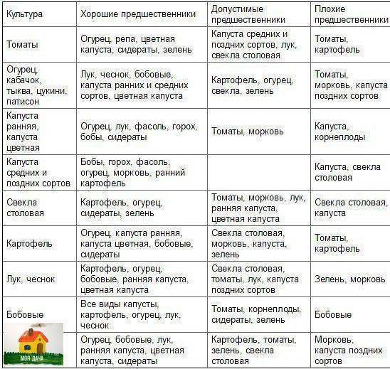 Основные правила севооборота. таблица посадок и выбора предшественников
