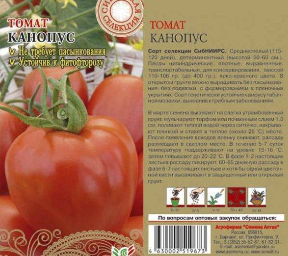 Томат канопус: описание и характеристика сорта, фото полученного урожая и отзывы огородников о нём