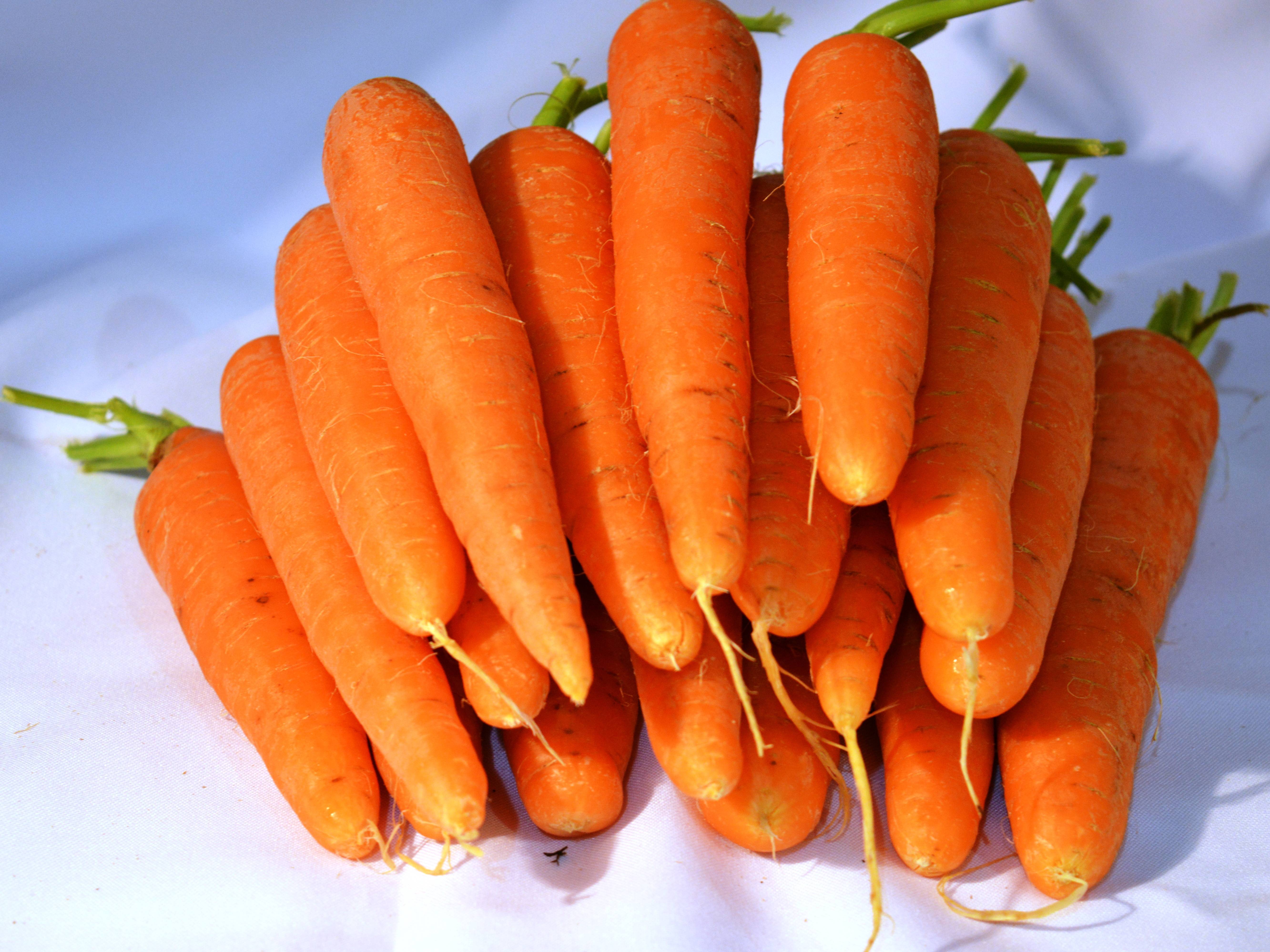 Почему морковь оранжевая: когда и как стала такой окраски