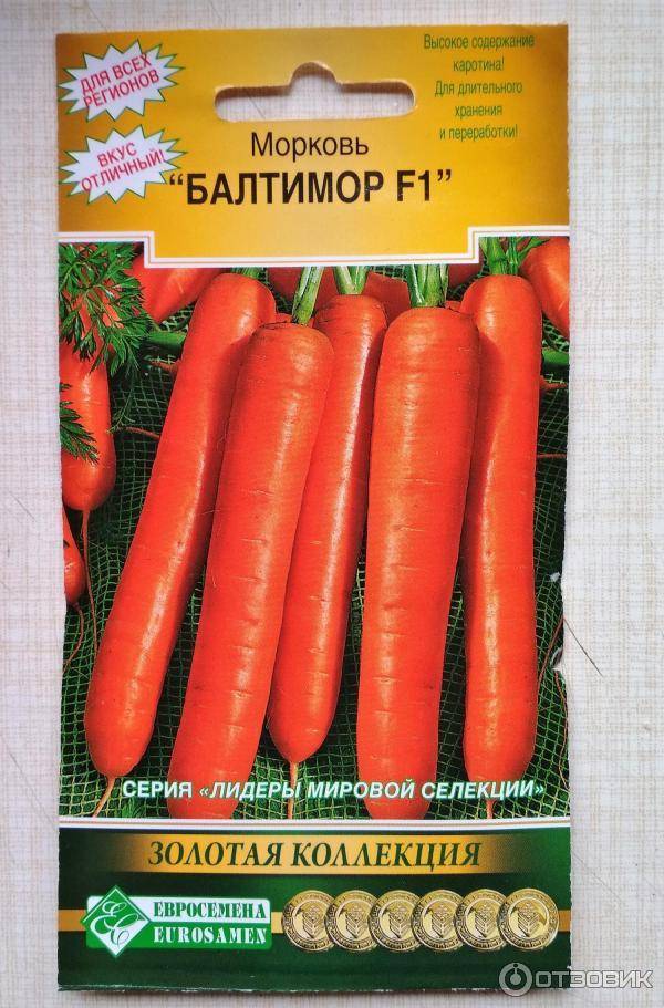 Морковь каскад описание сорта - сад и огород