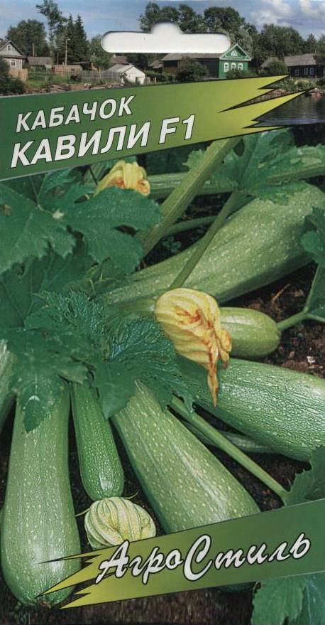 Кабачки Сорта Кавили Фото Отзывы