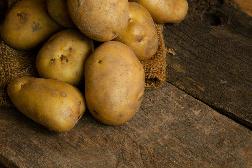 Картофель ажур: характеристики сорта, урожайность, отзывы