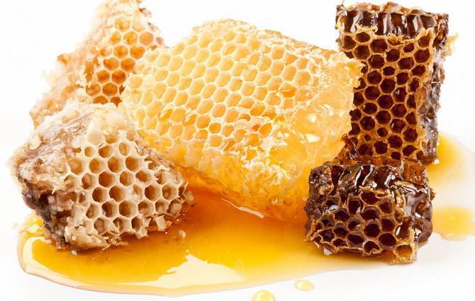 Как есть мед в сотах: правильный подход, жевание