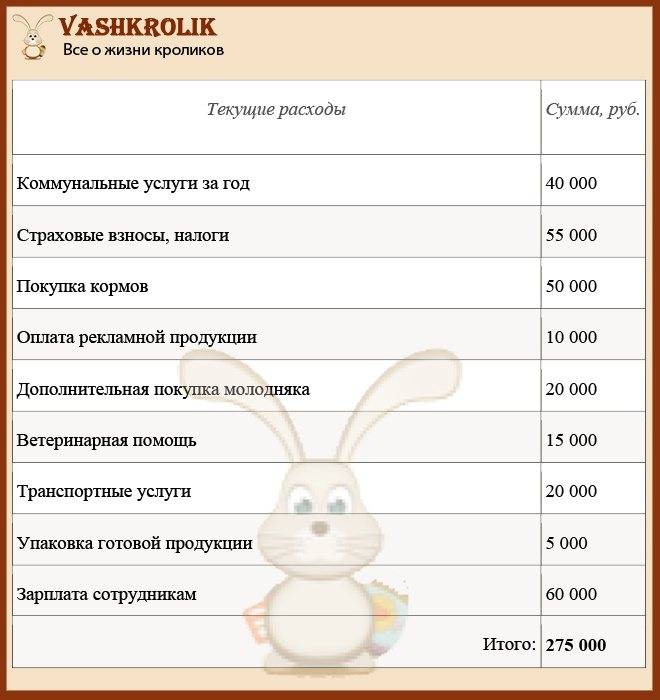 Бизнес на кроликах (март 2023) — vipidei.com