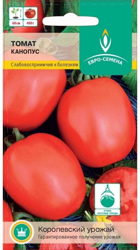 Томат канопус: характеристика и описание сорта, отзывы кто сажал об урожайности, фото, посадка и уход