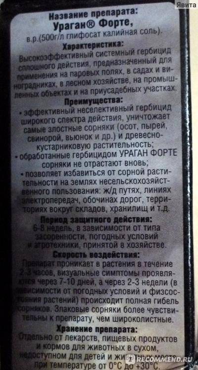 Ураган-форте - гербицид от сорняков: инструкция по применению, состав, аналоги, хранение