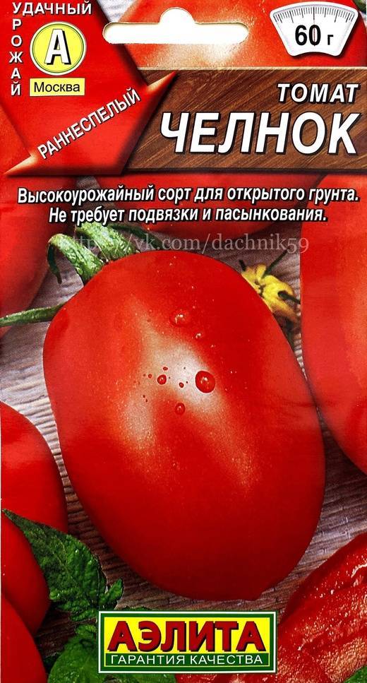 Помидоры челнок: описание сорта, фото, отзывы