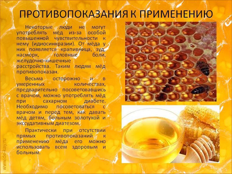 Подсолнечный мёд: польза и вред, характерные особенности, употребление, фото