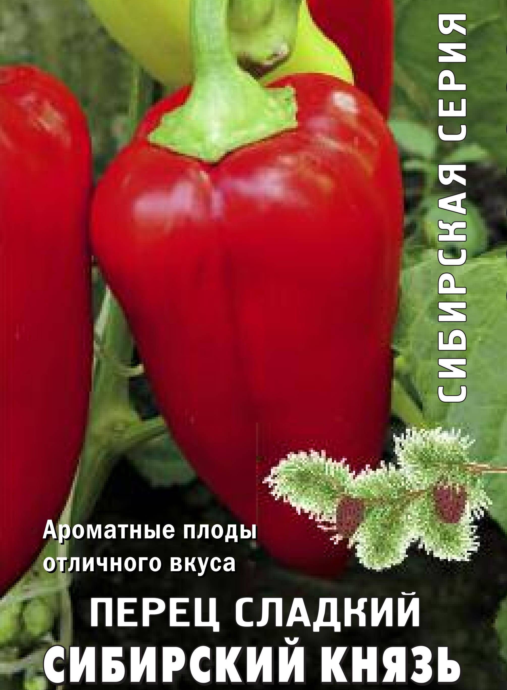 Лучшие сорта перца для сибири в теплице | огородник