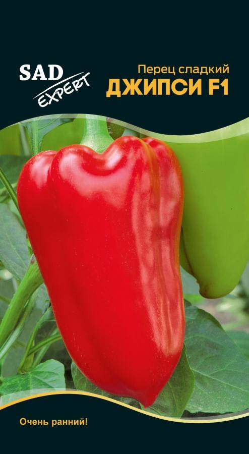 Гибрид из голландии — перец «джипси»: описание и инструкция по выращиванию