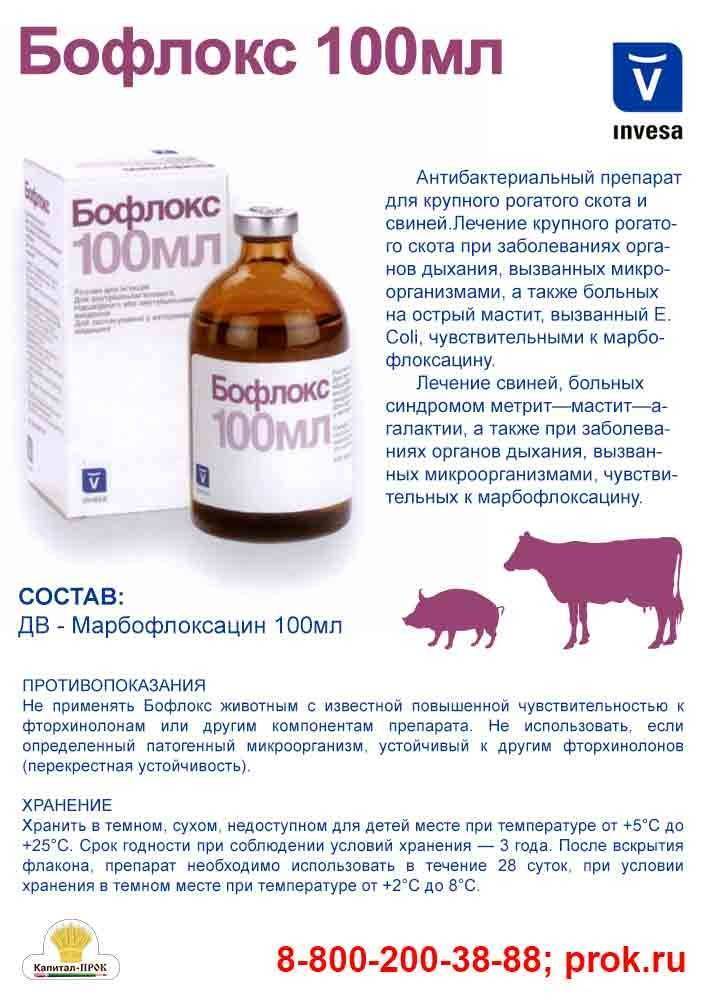 Как убрать запах мяса хряка: отмачивание, рецепты маринадов, домашние способы и промышленные препараты.