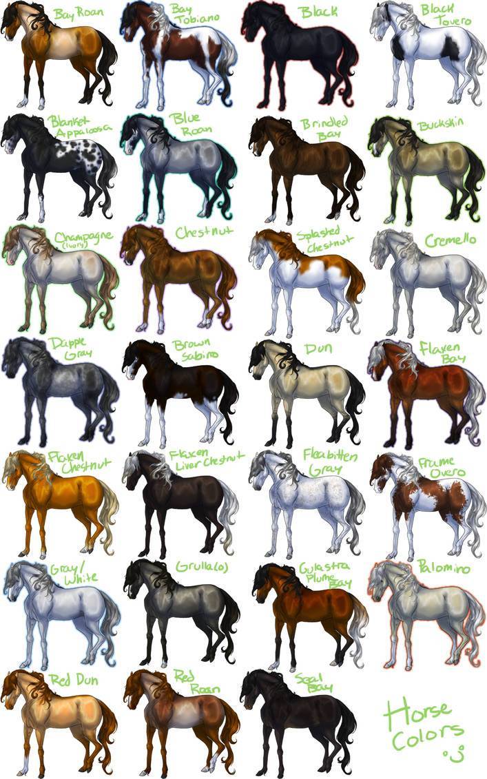 породы пони с фотографиями и названиями
